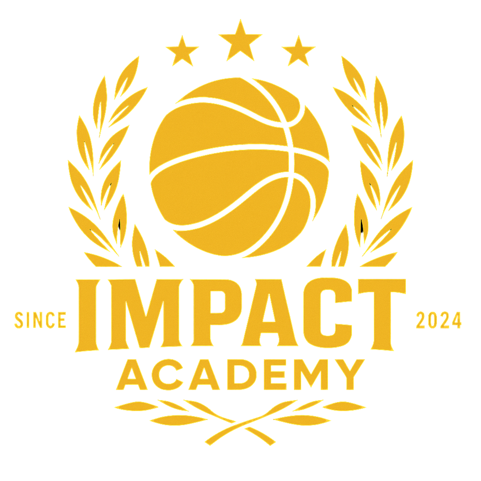 IMPACT Academy – Basketball, Éducation & Performance